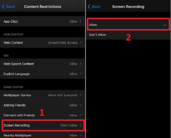 Allow iPhone Taking Screen Recording