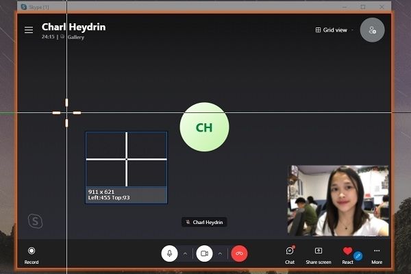 จับภาพหน้าจอของ Skype