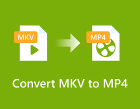 將 Mkv 轉換為 Mp4