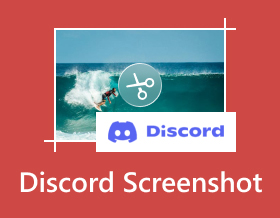 Captură de ecran Discord