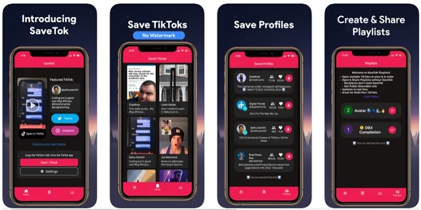 SaveTok Eliminar marca de agua de Tiktok