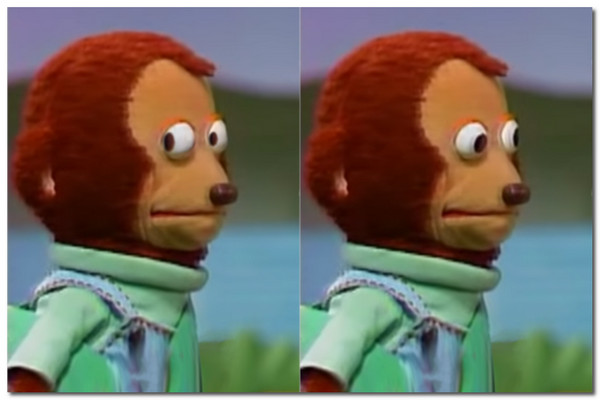 Adesivi Meme Monkey Stare su TikTok