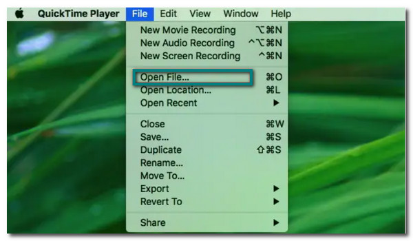 Abrir archivo QuickTime