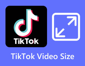 TikTok-videostorlek