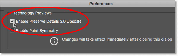 Enable Preserve Details 2 Upscale Photoshop