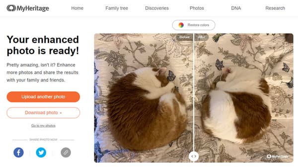Средство улучшения качества изображения MyHeritage
