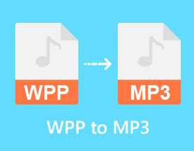 WPP till MP3