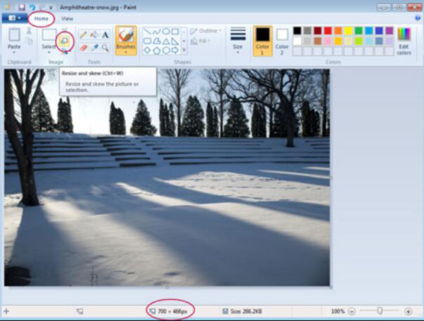 Click the Resize Button in Home