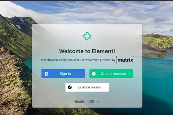 Element gratis videosamtal online