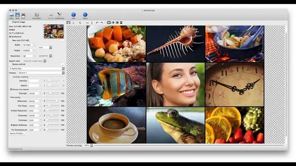 PhotoZoom Pro Image Expander
