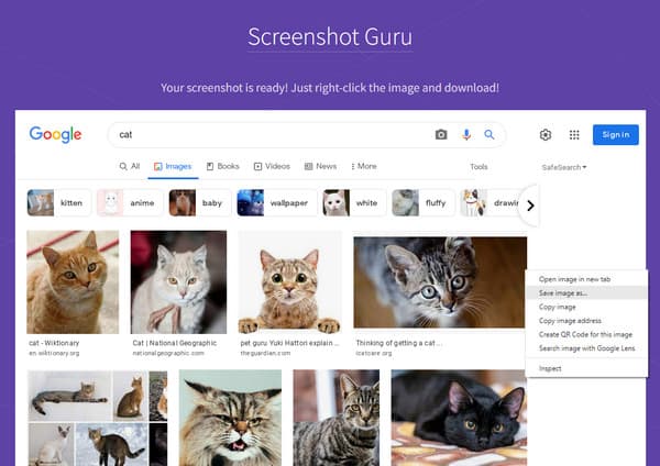 Screenshot Guru Come acquisire uno screenshot sul laptop Acer