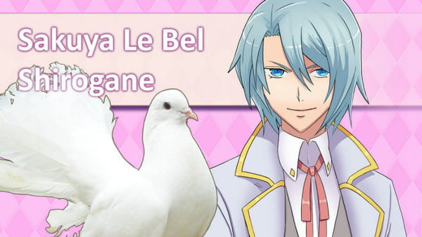 Hatoful Boyfriend vizuální románové hry