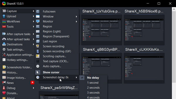 Registratore ShareX WEBM