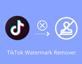 מסיר סימני מים של Tiktok