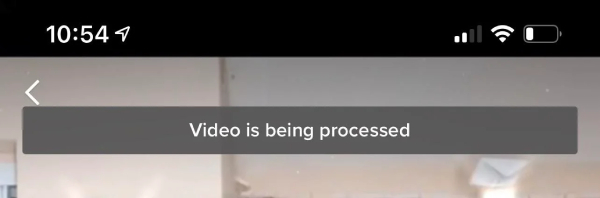 הסרטון בעיבוד TikTok