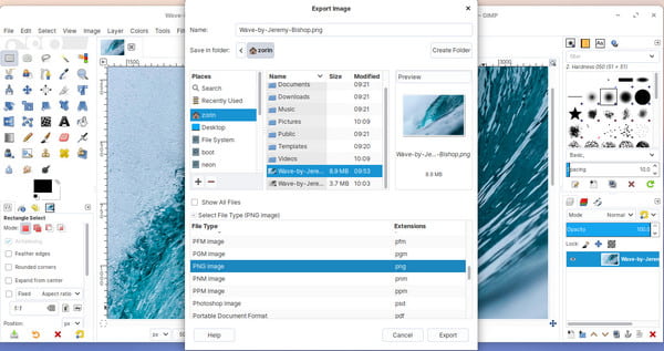 Estensione GIF per l'esportazione di Gimp