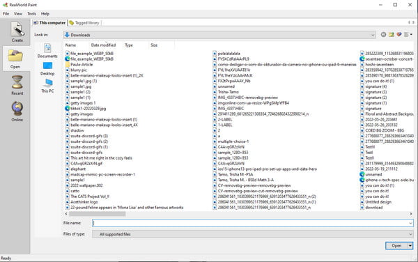 Ricerca file Real World Paint aperta