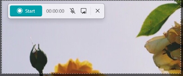 Start Recording And Stop