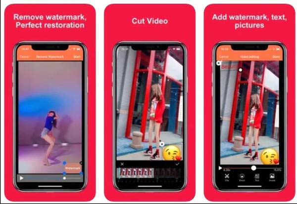 Sử dụng Công cụ xóa video để xóa hình mờ