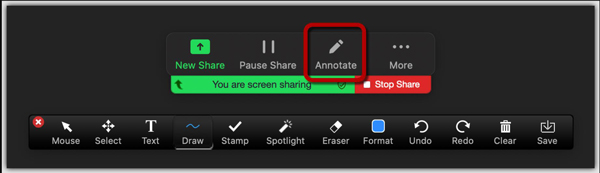 Annotation Tools on Zoom
