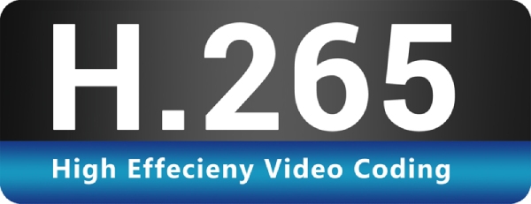 Convertitore H.265 Efficienza codifica video