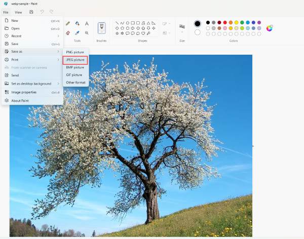 Paint Salva WEBP come immagine JPG