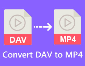 将 DAV 转换为 MP4