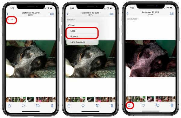 Aplicación de fotos para iPhone 16