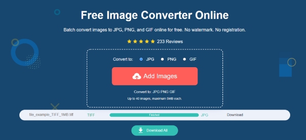 AnyRec Free Image Converter 在線轉換 TIFF