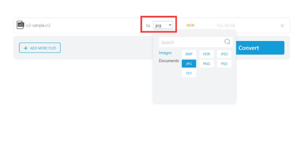 5 Free Ways To Convert CR2 To JPG Without Losing Quality