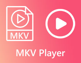 MKV播放器