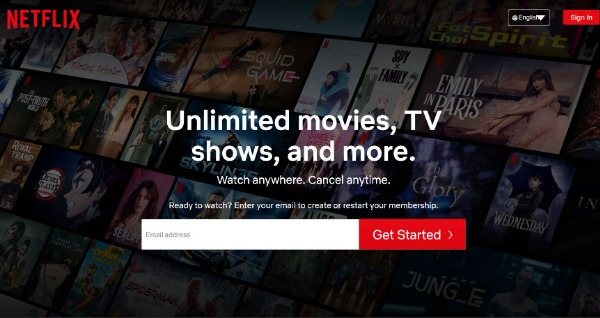 Netflix Interface