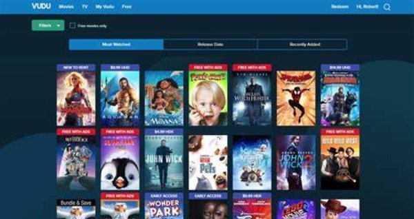 VUDU Interface