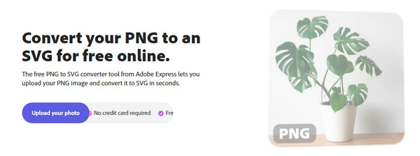 Adobe Express Last opp bildet ditt