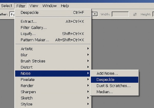 Välj Despeckle Photoshop