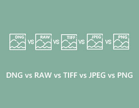 DNG、RAW、TIFF、JPEG、PNG