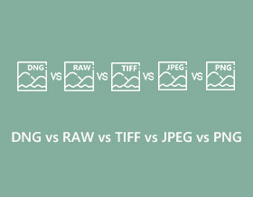 DNG לעומת RAW מול TIFF מול JPEG מול PNG