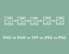 DNG contre RAW contre TIFF contre JPEG contre PNG