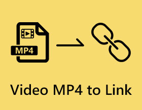 Video MP4 linkkiin