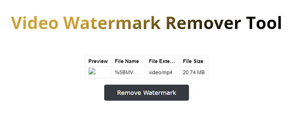 Video Watermark Remover