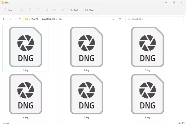 מה זה DNG