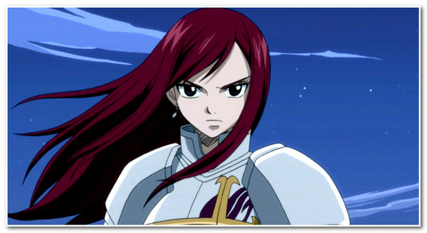 Top Female Characters on Anime Erza