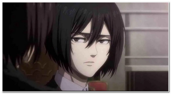 Bedste kvindelige karakterer på Anime Mikasa