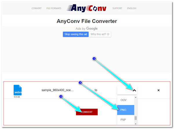 AnyConv Choose Format Click Convert