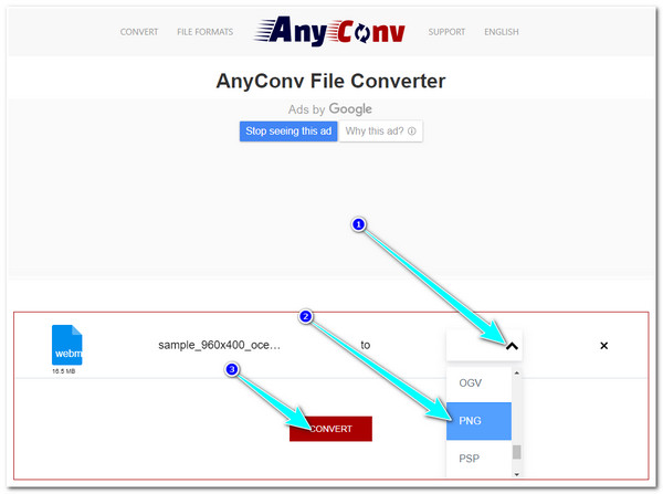 AnyConv Kies Formaat Klik op Converteren