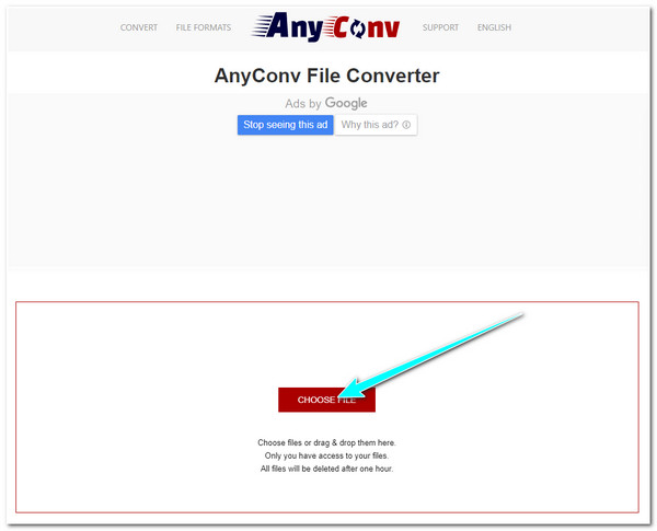 AnyConv Import WEBM File