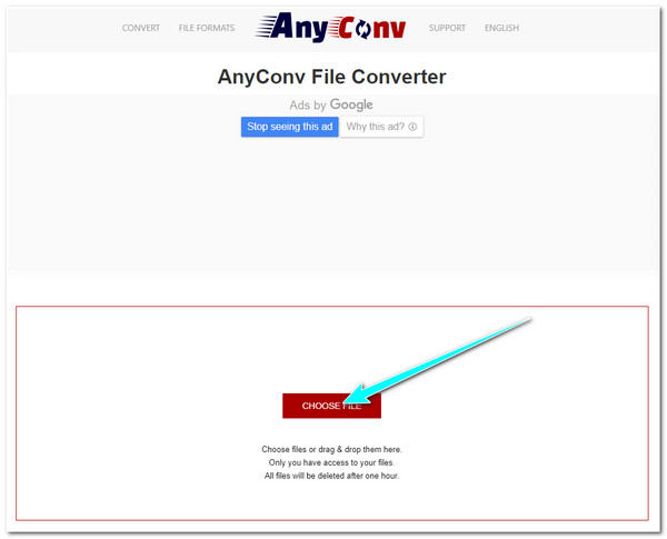 AnyConv 导入 WEBM 文件