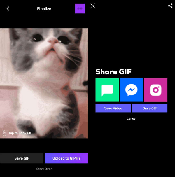 Giphy App Share