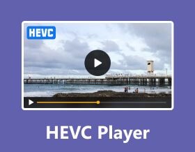 HEVCプレーヤー