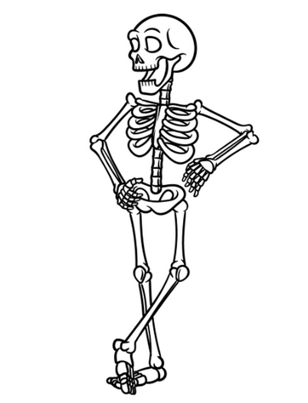 Skeleton Hips Feet